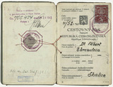 Passport: Albert Ehrenstein