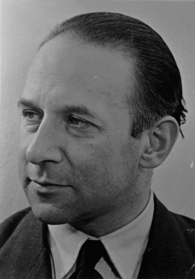Hans Sahl, Journalist