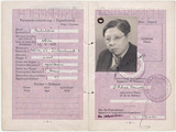 Passport: Richard A. Bermann