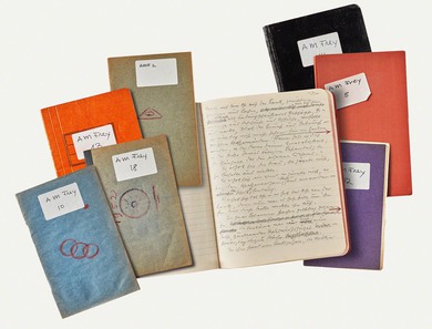 Notebooks belonging to Alexander Moritz Frey