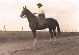 Black and white photograph in landscape format. The painter Oscar Zügel sitting on a horse with a white blaze. 